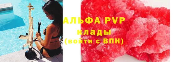 ПСИЛОЦИБИНОВЫЕ ГРИБЫ Белоозёрский