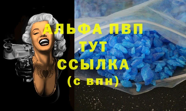 гидра Белокуриха