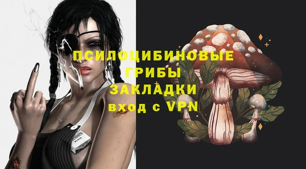 гидра Белокуриха