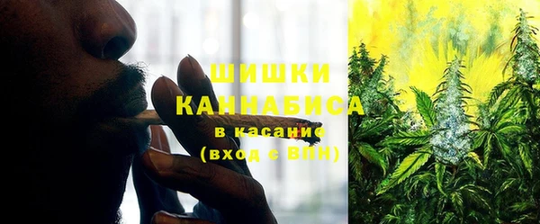 ПСИЛОЦИБИНОВЫЕ ГРИБЫ Белоозёрский