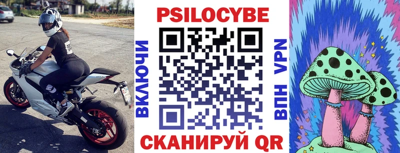 наркота  Тырныауз  Псилоцибиновые грибы Magic Shrooms 